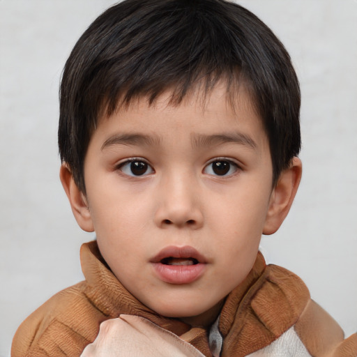 Neutral white child male with short  brown hair and brown eyes