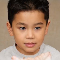 Joyful white child male with short  brown hair and brown eyes