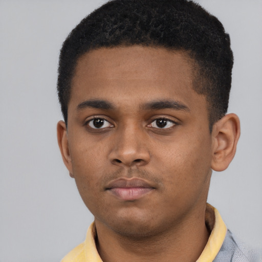 Neutral black young-adult male with short  black hair and brown eyes