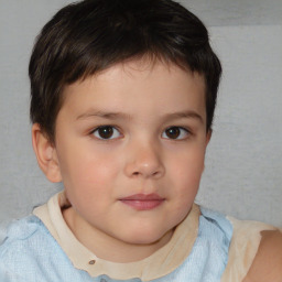 Neutral white child male with short  brown hair and brown eyes