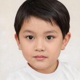 Neutral white child male with short  brown hair and brown eyes