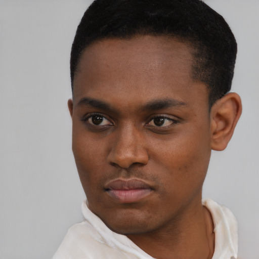 Neutral black young-adult male with short  black hair and brown eyes