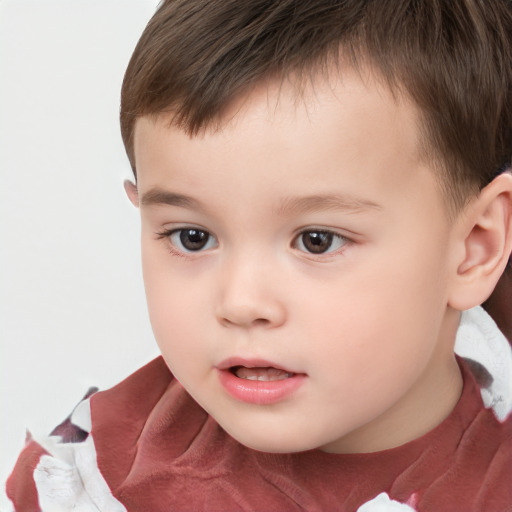 Neutral white child male with short  brown hair and brown eyes