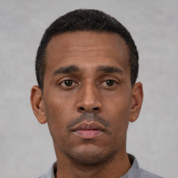 Neutral black young-adult male with short  black hair and brown eyes