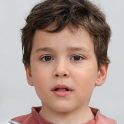 Neutral white child male with short  brown hair and brown eyes