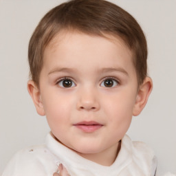 Neutral white child male with short  brown hair and brown eyes