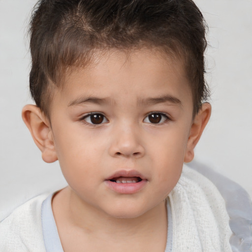 Neutral white child male with short  brown hair and brown eyes