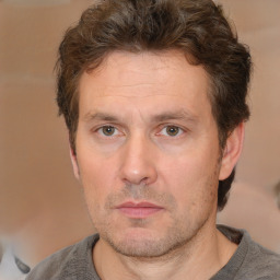 Neutral white adult male with short  brown hair and brown eyes