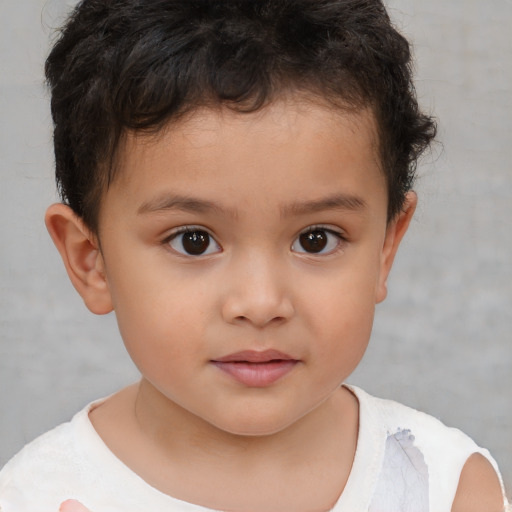 Neutral white child male with short  brown hair and brown eyes