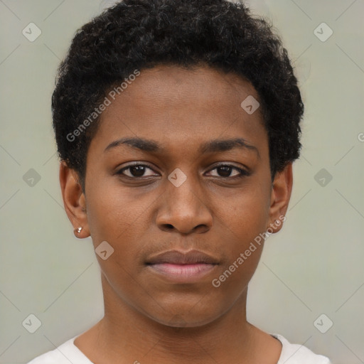 Neutral black young-adult female with short  brown hair and brown eyes