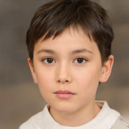 Neutral white child male with short  brown hair and brown eyes