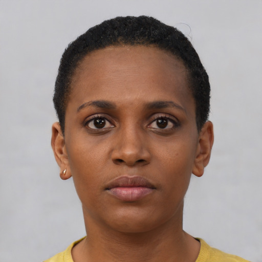 Neutral black young-adult female with short  brown hair and brown eyes