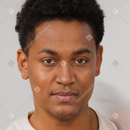 Joyful black young-adult male with short  brown hair and brown eyes