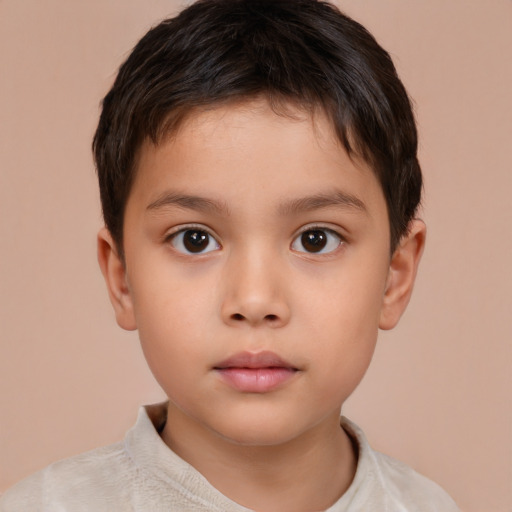 Neutral white child male with short  brown hair and brown eyes