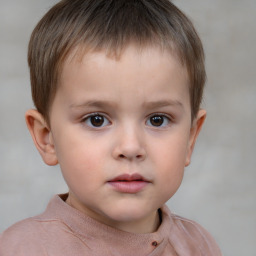 Neutral white child male with short  brown hair and brown eyes