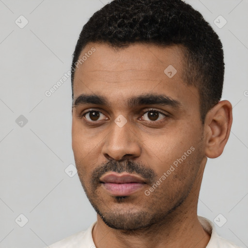 Joyful black young-adult male with short  black hair and brown eyes