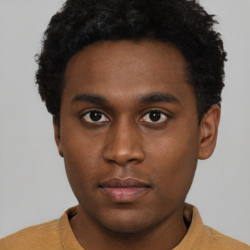 Neutral black young-adult male with short  brown hair and brown eyes