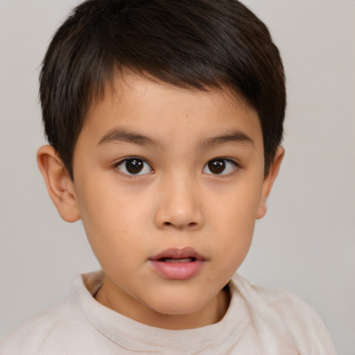 Neutral white child male with short  brown hair and brown eyes