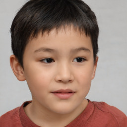 Neutral asian child male with short  brown hair and brown eyes