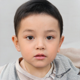 Neutral white child male with short  brown hair and brown eyes