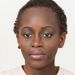 Neutral black young-adult female with short  brown hair and brown eyes