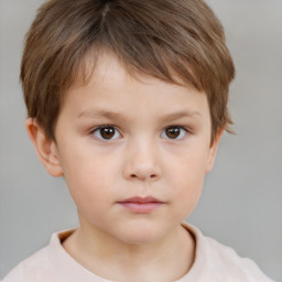 Neutral white child male with short  brown hair and brown eyes