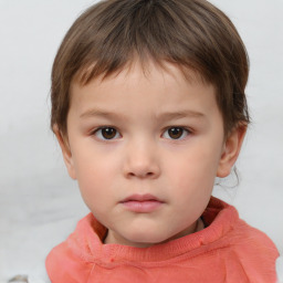 Neutral white child male with short  brown hair and brown eyes