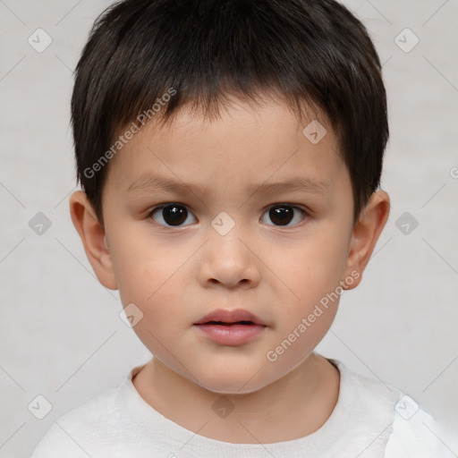 Neutral white child male with short  brown hair and brown eyes