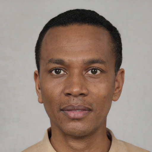 Neutral black young-adult male with short  black hair and brown eyes