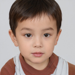 Neutral white child male with short  brown hair and brown eyes