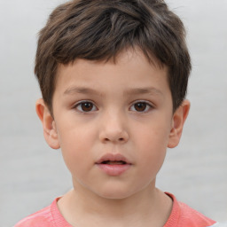 Neutral white child male with short  brown hair and brown eyes