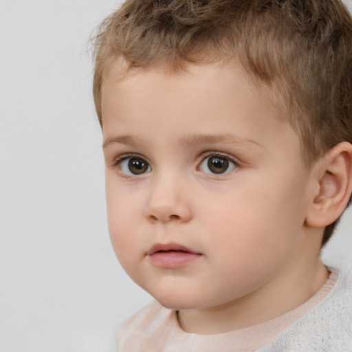 Neutral white child male with short  brown hair and brown eyes