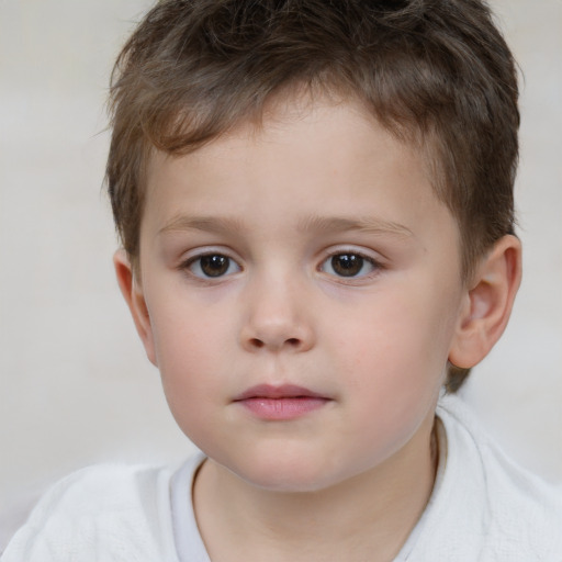 Neutral white child male with short  brown hair and brown eyes