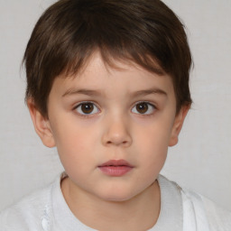 Neutral white child male with short  brown hair and brown eyes