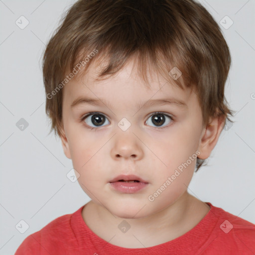 Neutral white child male with short  brown hair and brown eyes