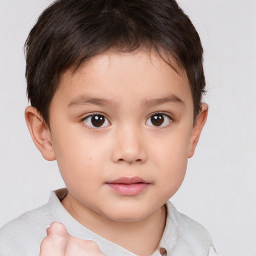 Neutral white child male with short  brown hair and brown eyes