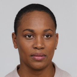 Neutral black young-adult female with short  brown hair and brown eyes