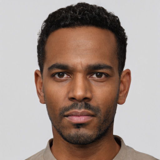 Neutral black young-adult male with short  black hair and brown eyes