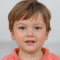 Neutral white child male with short  brown hair and brown eyes