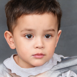 Neutral white child male with short  brown hair and brown eyes