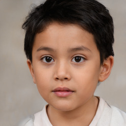 Neutral white child male with short  brown hair and brown eyes