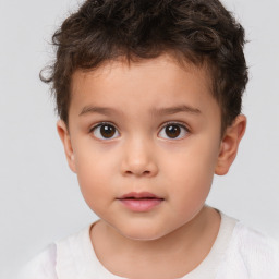 Neutral white child male with short  brown hair and brown eyes