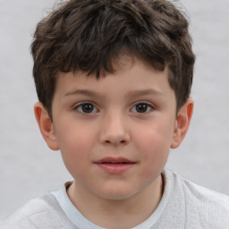 Neutral white child male with short  brown hair and brown eyes