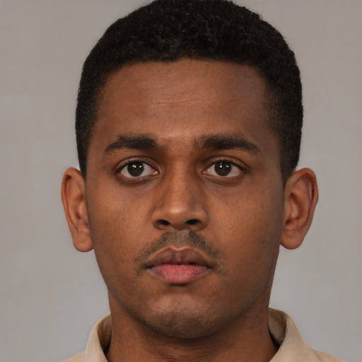 Neutral black young-adult male with short  brown hair and brown eyes