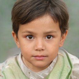 Neutral white child male with short  brown hair and brown eyes