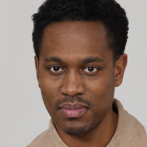 Neutral black young-adult male with short  black hair and brown eyes