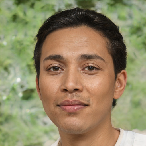 Joyful asian adult male with short  black hair and brown eyes