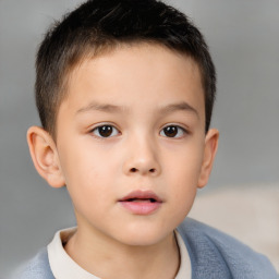 Neutral white child male with short  brown hair and brown eyes