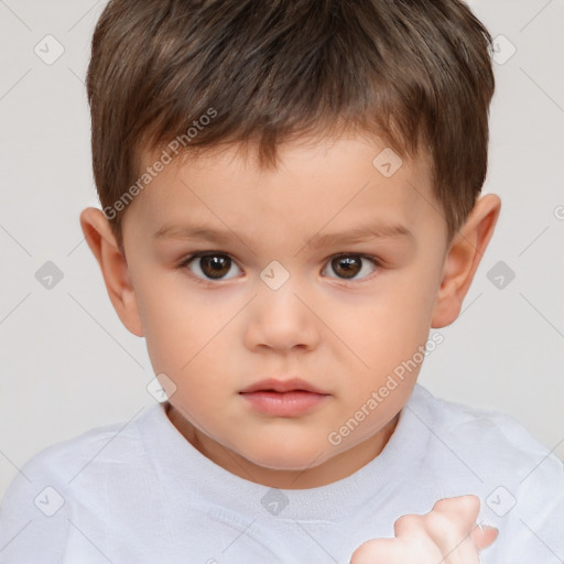 Neutral white child male with short  brown hair and brown eyes