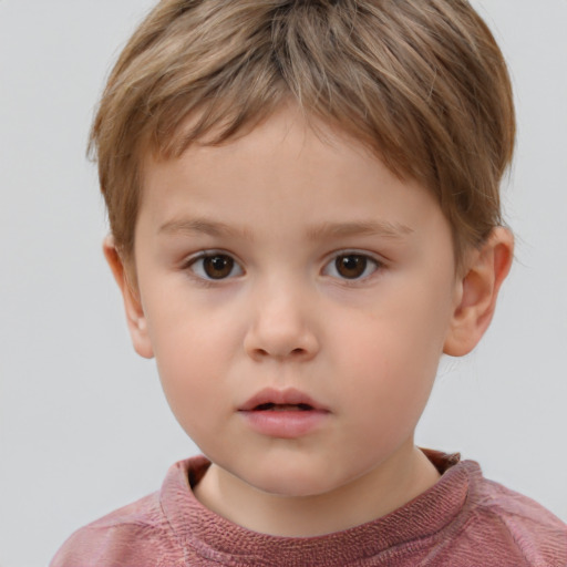 Neutral white child male with short  brown hair and brown eyes